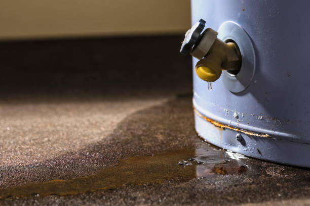 Best 24/7 water damage repair  in Liberty Triangle, FL