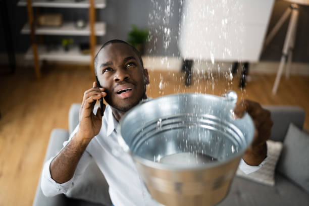 Best Professional water damage repair  in Liberty Triangle, FL