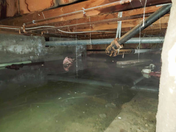 Best Commercial water damage restoration  in Liberty Triangle, FL