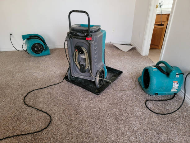 Best Emergency water damage restoration  in Liberty Triangle, FL