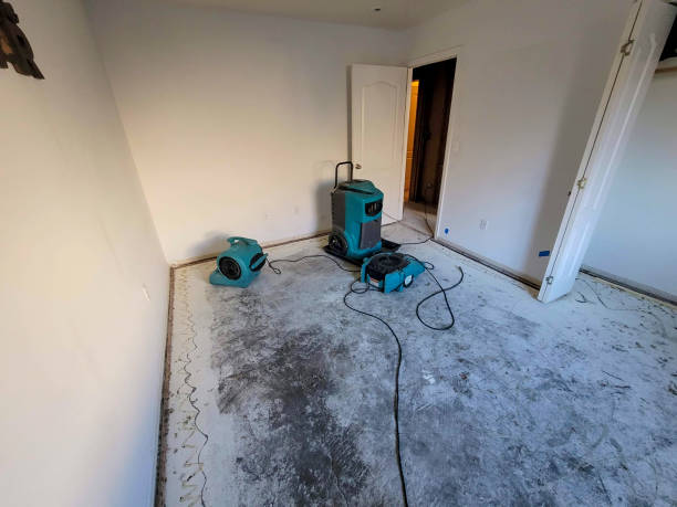 Best Flood restoration services  in Liberty Triangle, FL