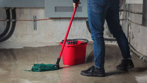 Best Mold removal after water damage  in Liberty Triangle, FL