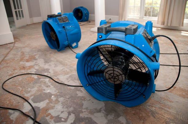 Best Water damage restoration near me  in Liberty Triangle, FL
