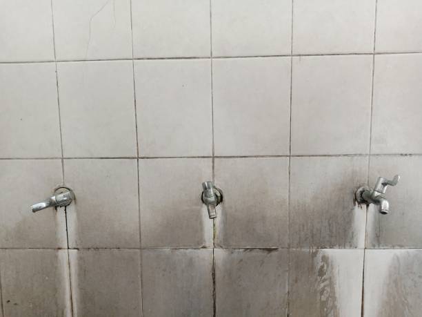 Best Fire Damage Restoration  in Liberty Triangle, FL