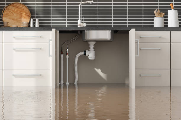 Best Commercial water damage restoration  in Liberty Triangle, FL
