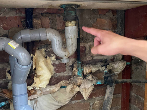 Best 24-hour water damage restoration  in Liberty Triangle, FL
