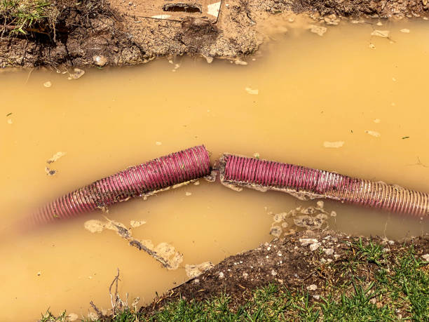Best Residential water damage restoration  in Liberty Triangle, FL