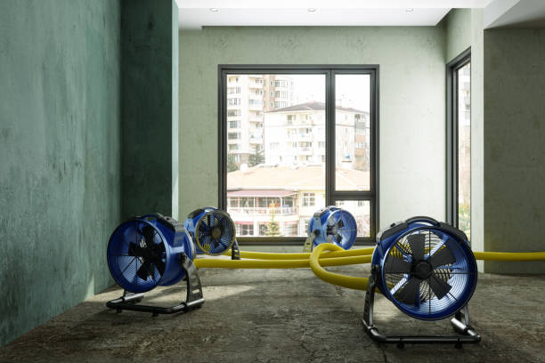 Best Water damage restoration near me  in Liberty Triangle, FL